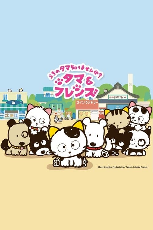 タマ&フレンズ うちのタマ知りませんか? afişi