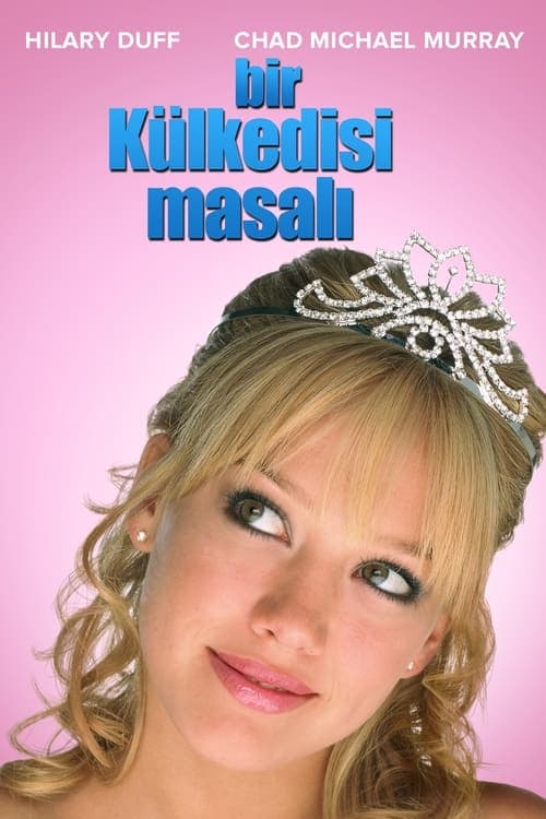 Bir Külkedisi Masalı afişi