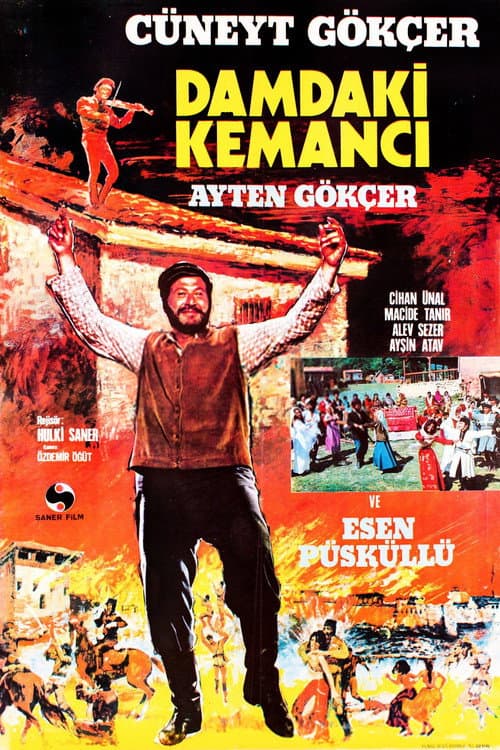 Damdaki Kemancı afişi