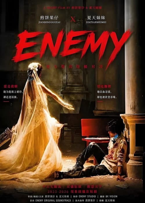 ENEMY afişi