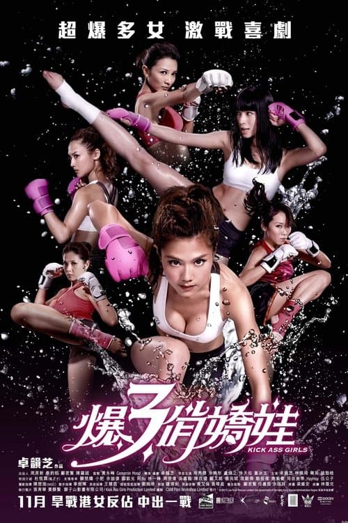 爆3俏嬌娃 afişi