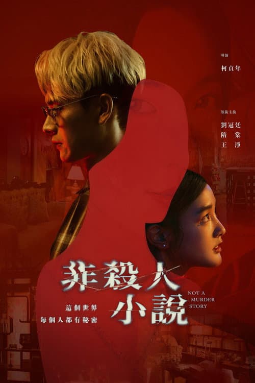 非殺人小說 afişi