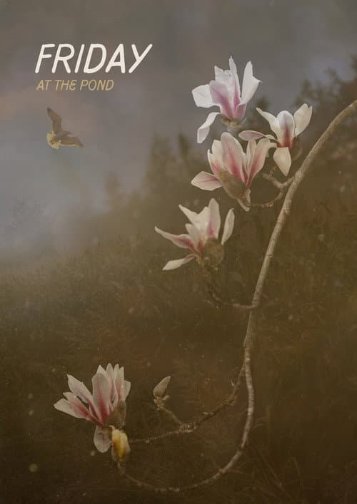 Friday At The Pond afişi