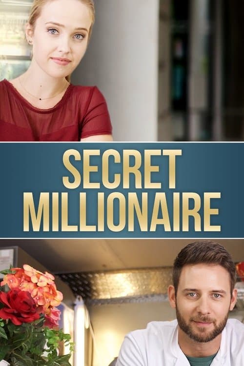 Secret Millionaire afişi