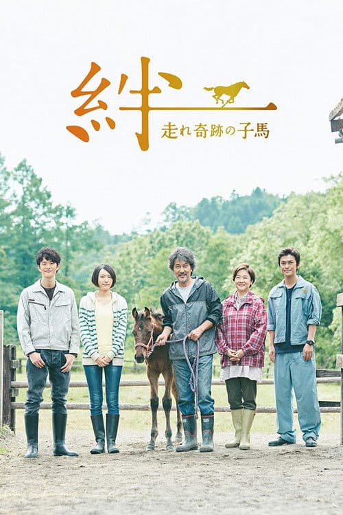 絆～走れ奇跡の子馬～ afişi