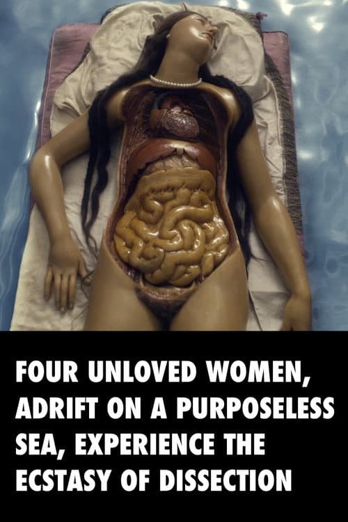 Four Unloved Women, Adrift on a Purposeless Sea, Experience the Ecstasy of Dissection afişi