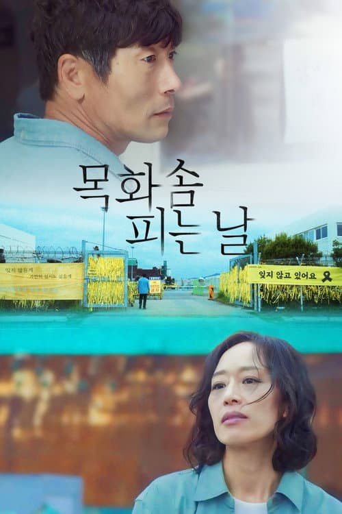 목화솜 피는 날 afişi