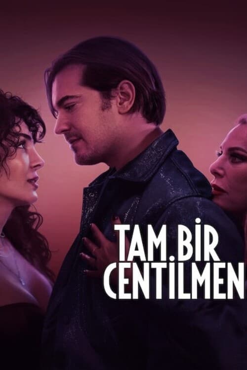 Tam Bir Centilmen afişi