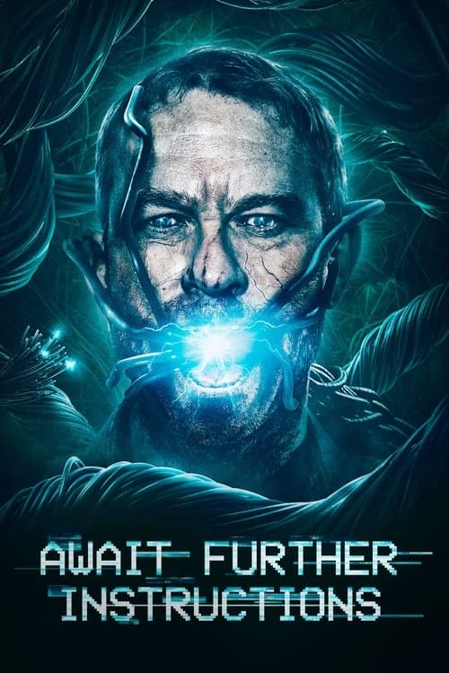 Await Further Instructions afişi