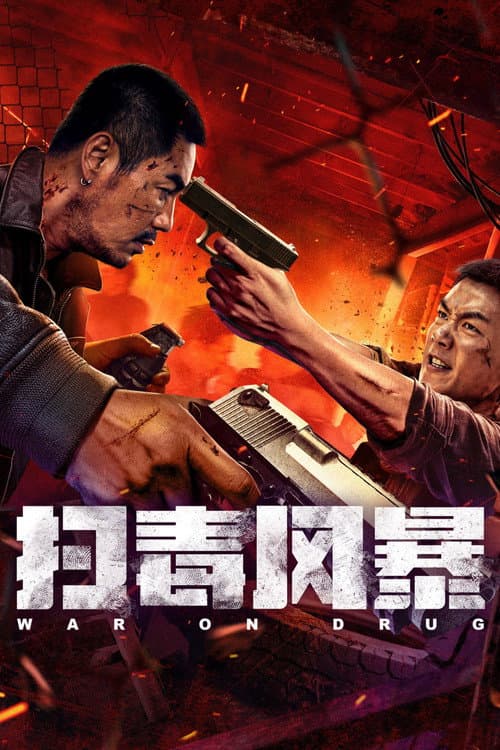 扫毒风暴 afişi