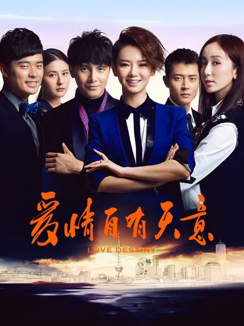 爱情自有天意 afişi