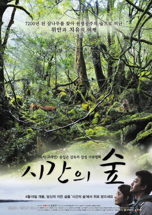 시간의 숲 afişi