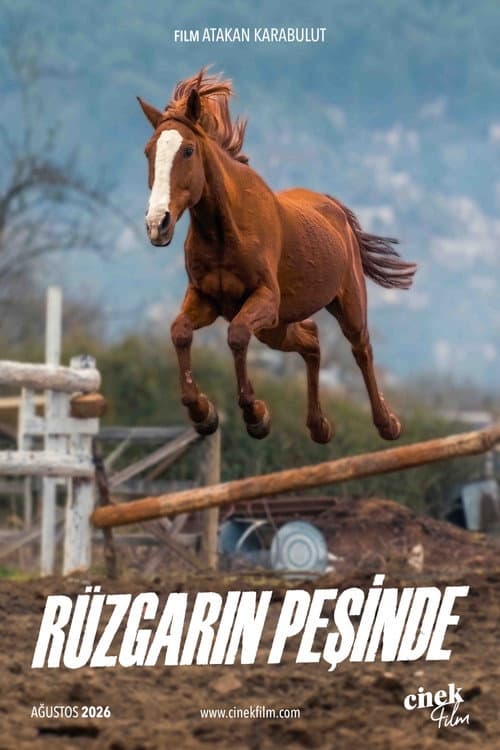 Rüzgarın Peşinde afişi