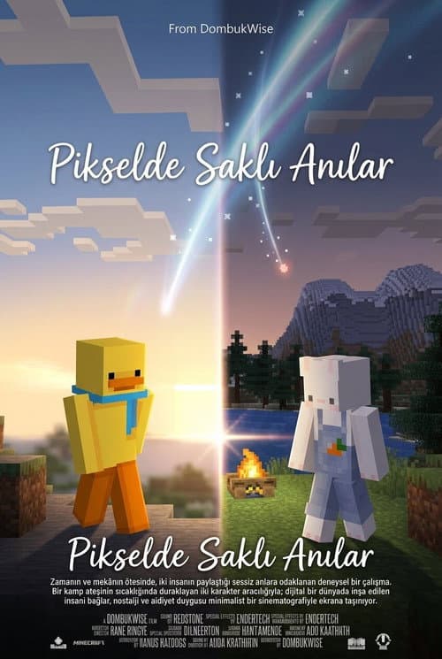 Pikselde Saklı Anılar afişi