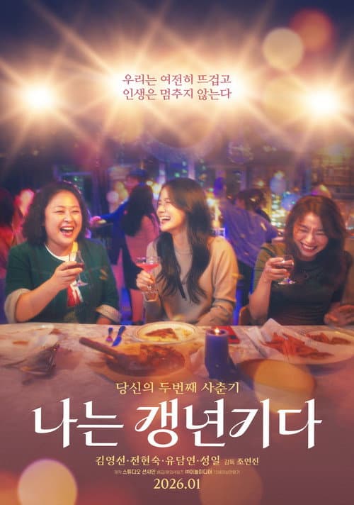 나는 갱년기다 afişi