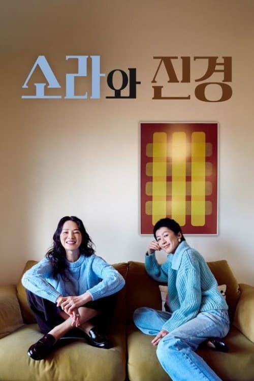 소라와 진경 afişi