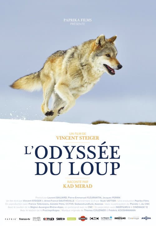 L'Odyssée du loup afişi