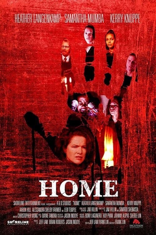 Home afişi