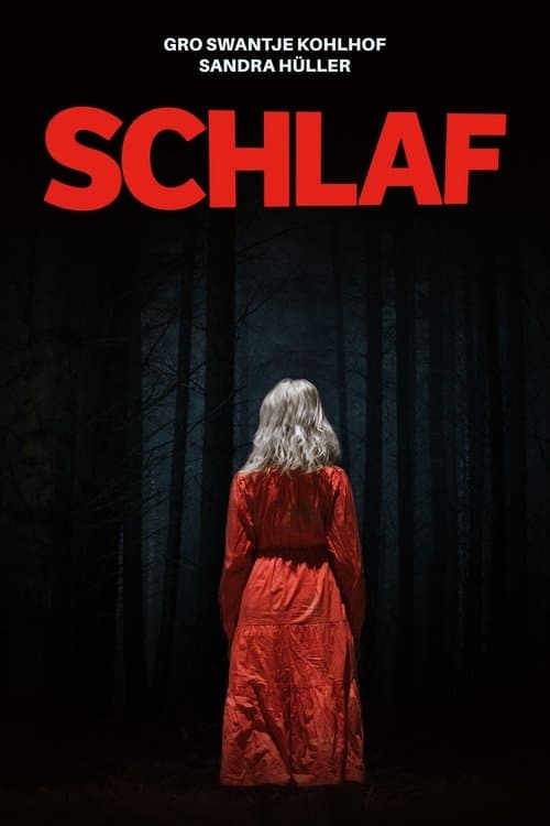Schlaf afişi