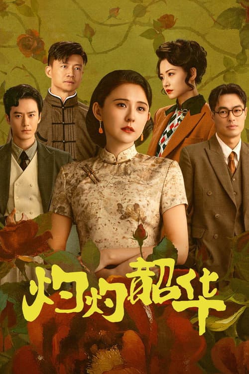 灼灼韶华 afişi