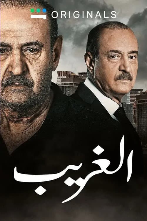 الغريب afişi
