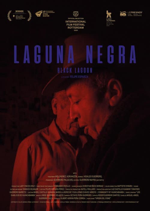 Laguna negra afişi