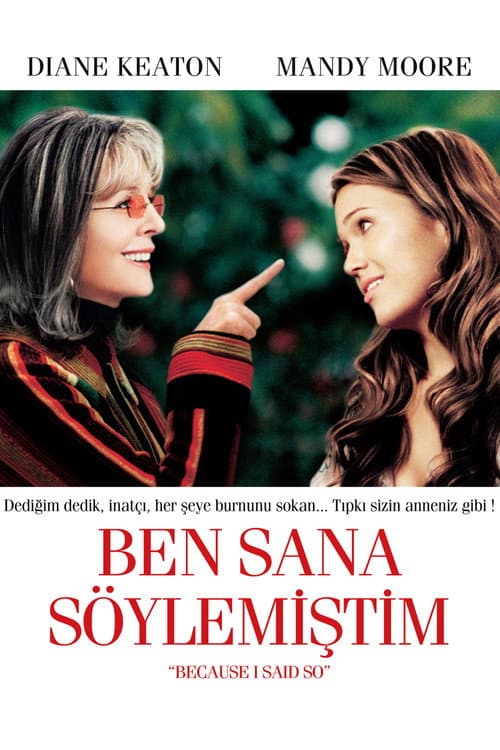 Ben Sana Söylemiştim afişi