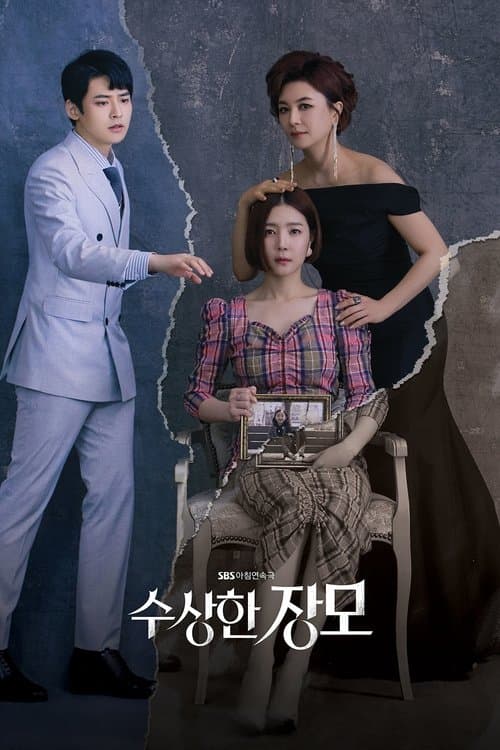 수상한 장모 afişi
