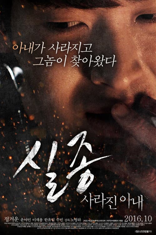 실종: 사라진 아내 afişi