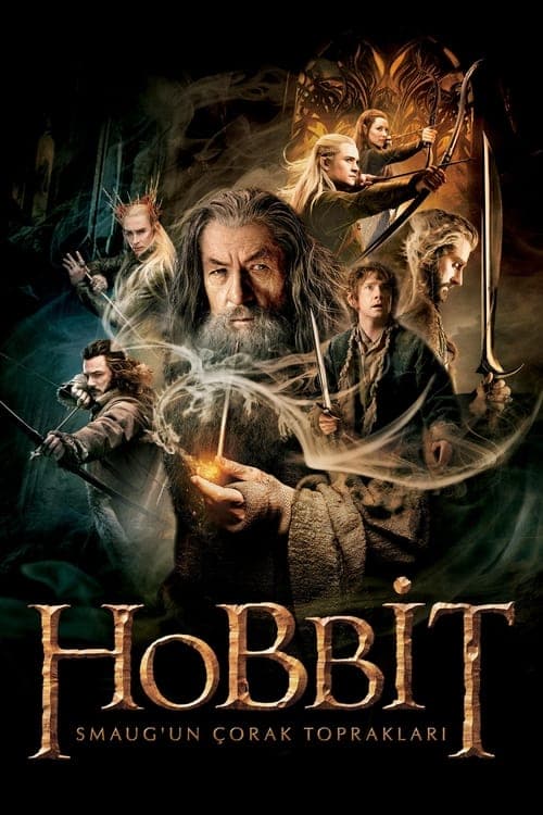 Hobbit: Smaug'un Çorak Toprakları afişi