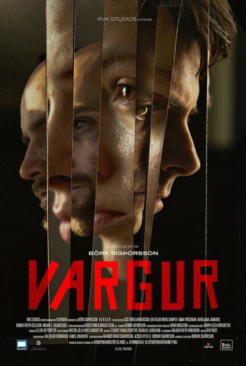 Vargur afişi
