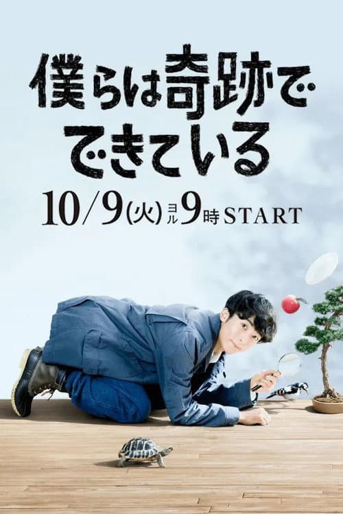 僕らは奇跡でできている afişi