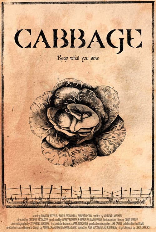 Cabbage afişi
