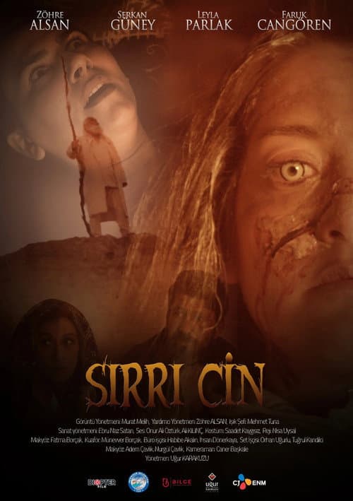 Sırrı Cin afişi