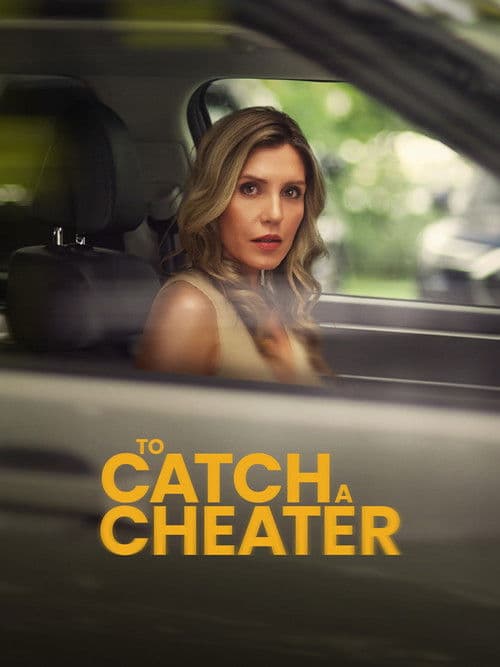 To Catch a Cheater afişi