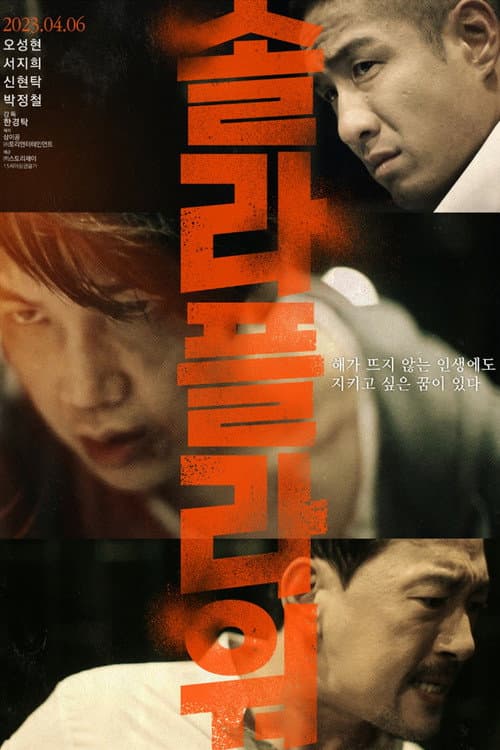솔라 플라워 afişi