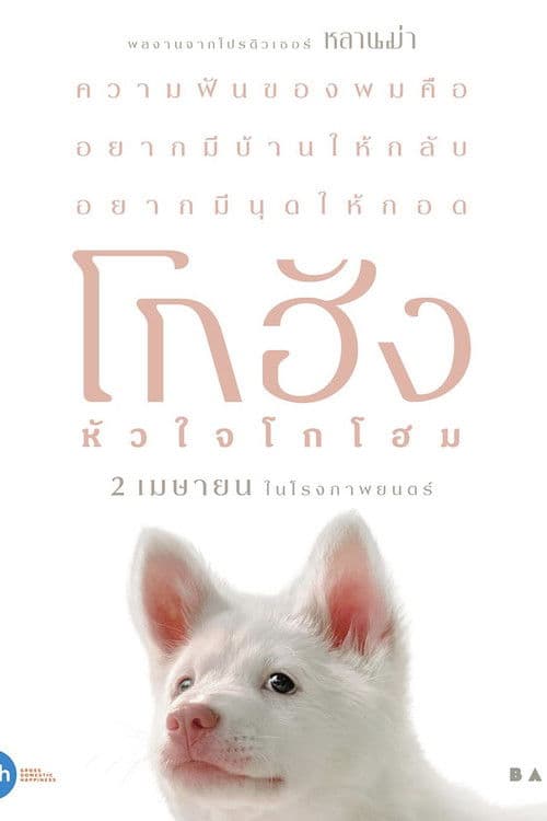 โกฮัง..หัวใจโกโฮม afişi