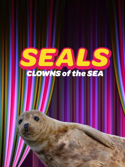 Seals - Clowns of the Sea afişi