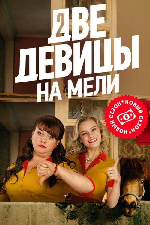 Две девицы на мели afişi