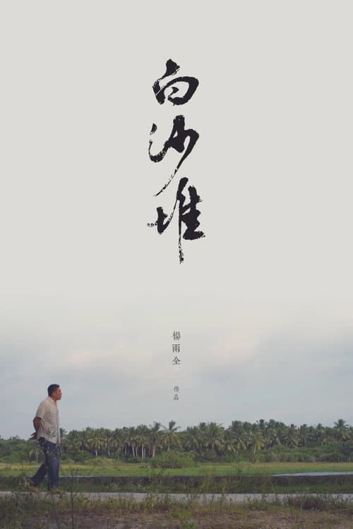 白沙堆 afişi