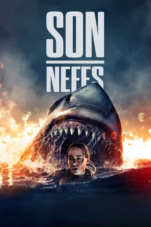 Son Nefes afişi