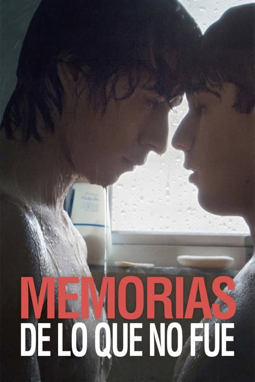 Memorias de lo que no fue afişi