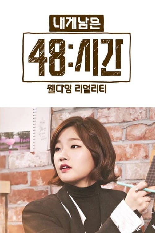 내게 남은 48시간 afişi