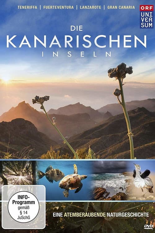 Die Kanarischen Inseln afişi