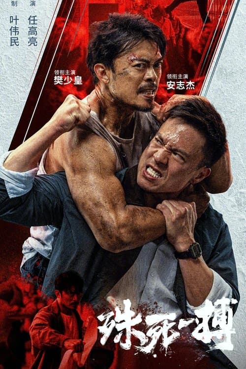 殊死一搏 afişi