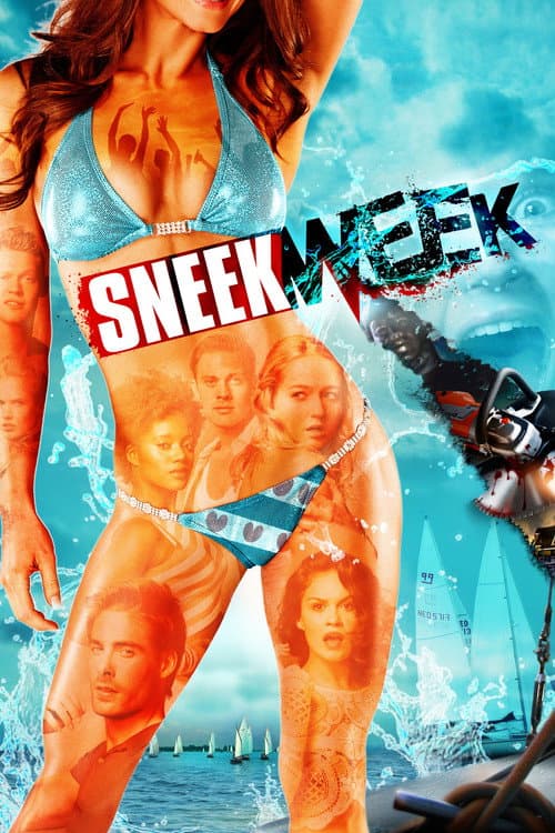 Sneekweek afişi