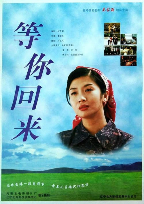等你回来 afişi
