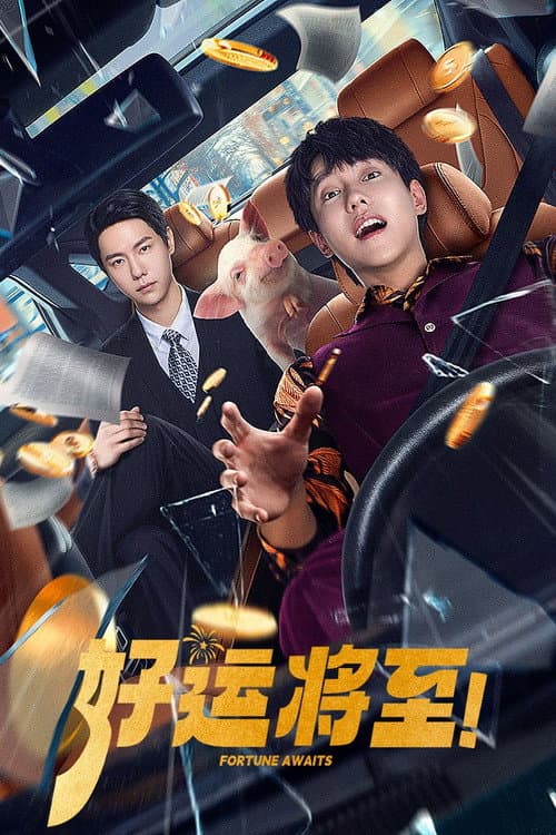 好运将至 afişi