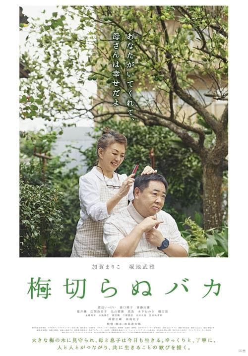 梅切らぬバカ afişi