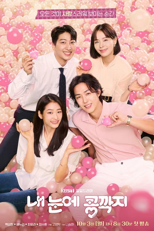 내 눈에 콩깍지 afişi